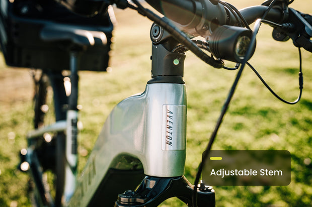 Level 3 Step Through Ebike