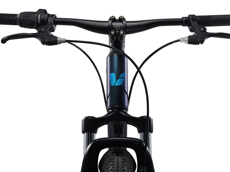 Tempt 24 Disc (2024)