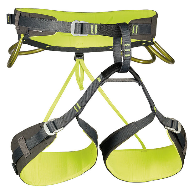 Energy CR3 Harness