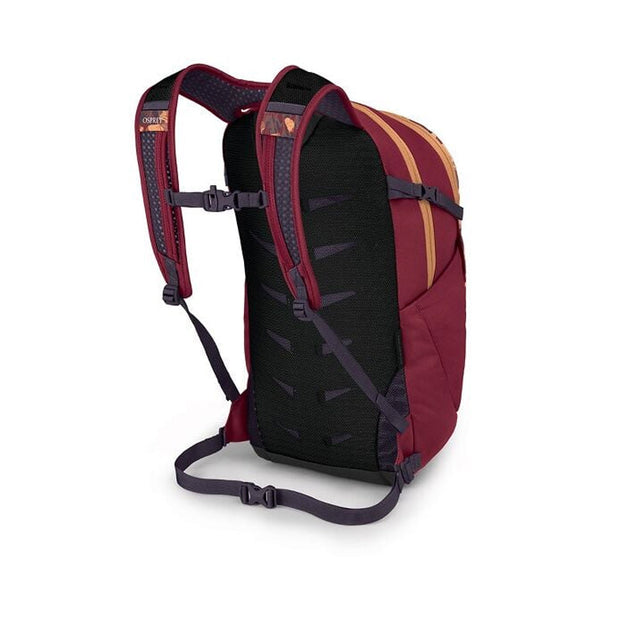 Daylite Plus