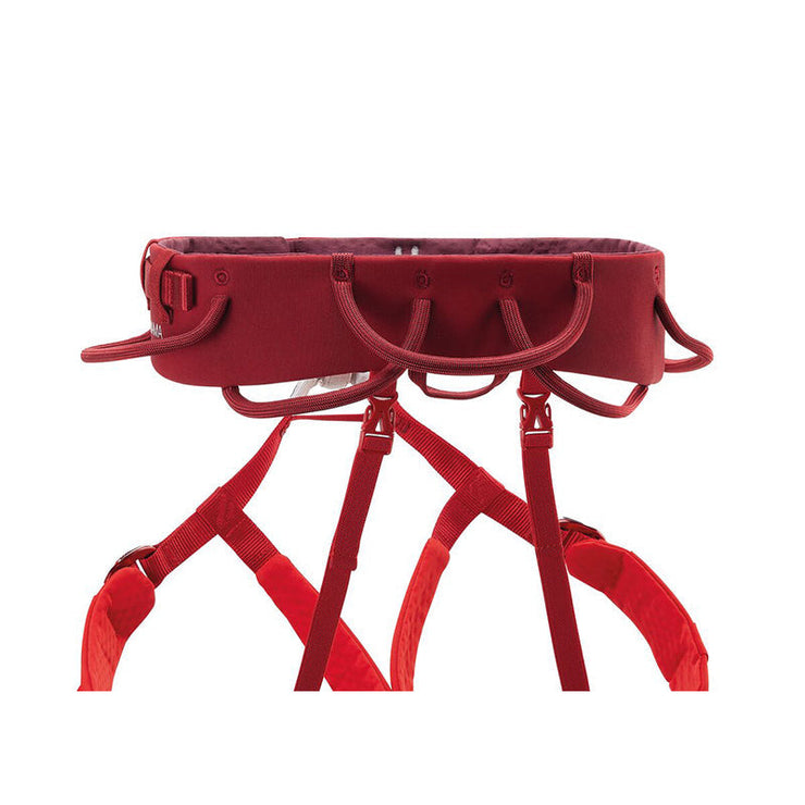 Adjama Harness