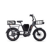 RadRunner 3/RadRunner Max Console