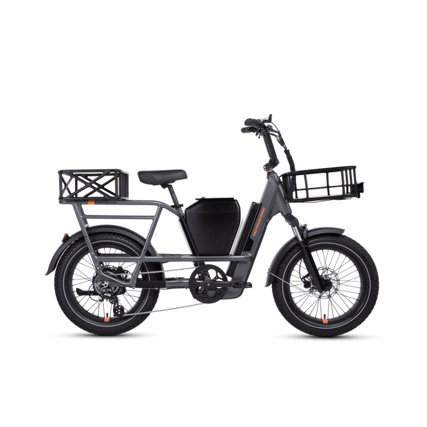 RadRunner 3/RadRunner Max Console