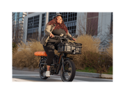 RadRunner™ Max Electric Cargo Utility Bike