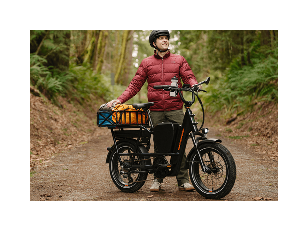 RadRunner™ Max Electric Cargo Utility Bike
