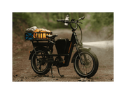 RadRunner™ Max Electric Cargo Utility Bike
