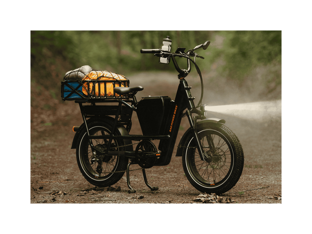 RadRunner™ Max Electric Cargo Utility Bike