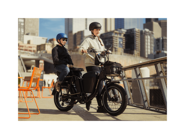 RadRunner™ Plus Electric Cargo Utility Bike
