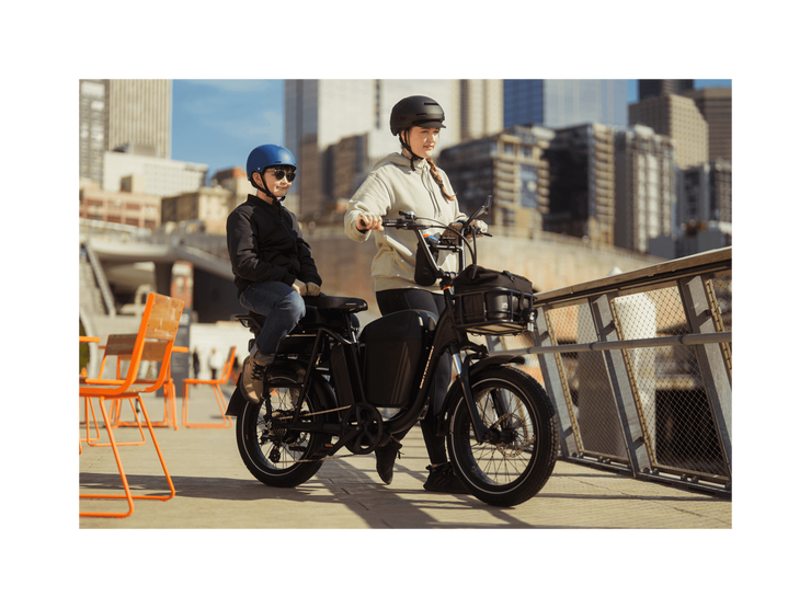 RadRunner™ Plus Electric Cargo Utility Bike