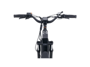 RadRover™ 6 Plus Electric Fat Tire Bike