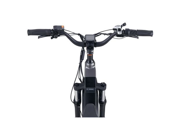 RadRover™ 6 Plus Electric Fat Tire Bike