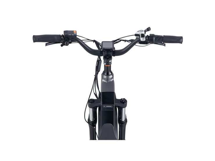 RadRover™ 6 Plus Electric Fat Tire Bike