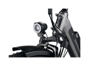 RadRover™ 6 Plus Electric Fat Tire Bike