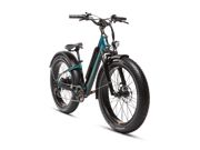 RadRover™ 6 Plus Electric Fat Tire Bike