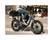 RadRunner™ Electric Cargo Utility Bike