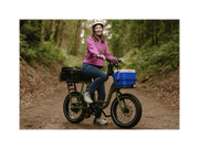 RadRunner™ Electric Cargo Utility Bike