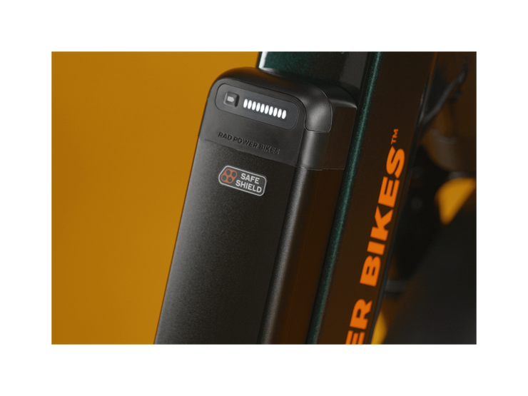 RadRunner™ Max Electric Cargo Utility Bike