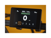 RadRunner™ Max Electric Cargo Utility Bike