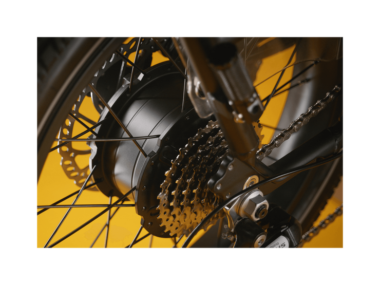 RadRunner™ Max Electric Cargo Utility Bike