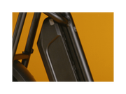 RadRunner™ Plus Electric Cargo Utility Bike