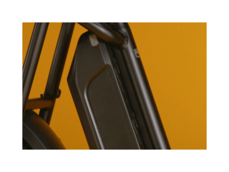 RadRunner™ Plus Electric Cargo Utility Bike