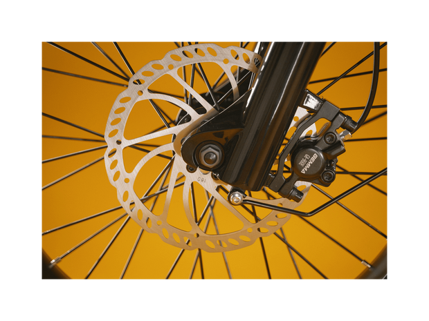 RadRunner™ Plus Electric Cargo Utility Bike