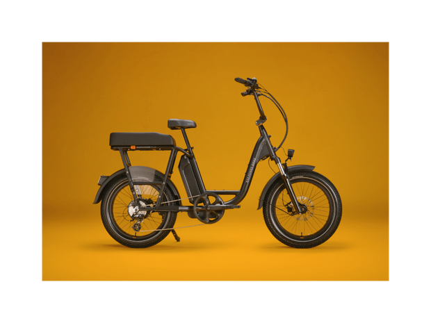 RadRunner™ Plus Electric Cargo Utility Bike