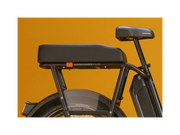 RadRunner™ Plus Electric Cargo Utility Bike