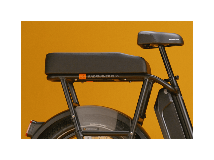 RadRunner™ Plus Electric Cargo Utility Bike