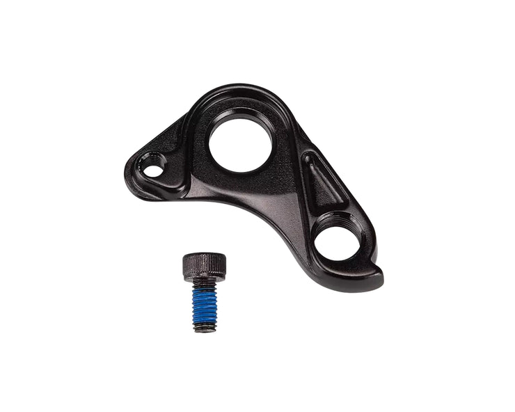 HGR MY21 ROAD DISC, LIGHTWEIGHT ROAD THRU-AXLE DERAILLEUR HANGER, W/ BOLT