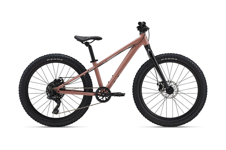 STP 24