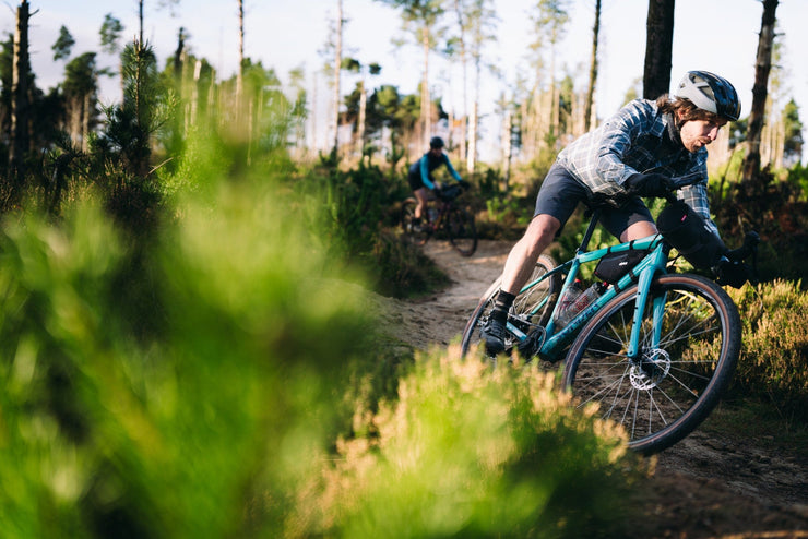 Sonder El Camino Collection Images