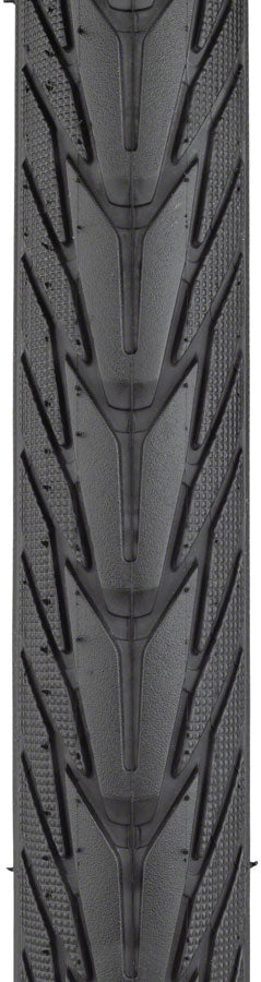 Schwalbe Energizer Plus Tire