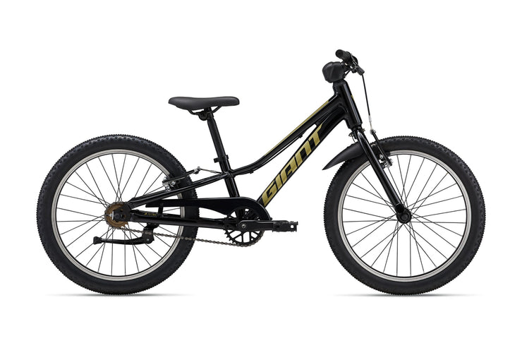 Talon 20 SS