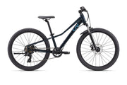 Tempt 24 Disc (2024)