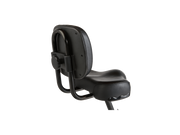 RadTrike™ Electric Tricycle