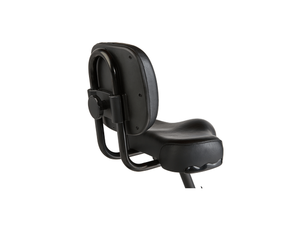 RadTrike™ Electric Tricycle