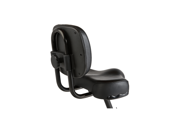 RadTrike™ Electric Tricycle