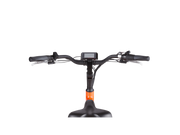 RadWagon™ 4 Electric Cargo Bike