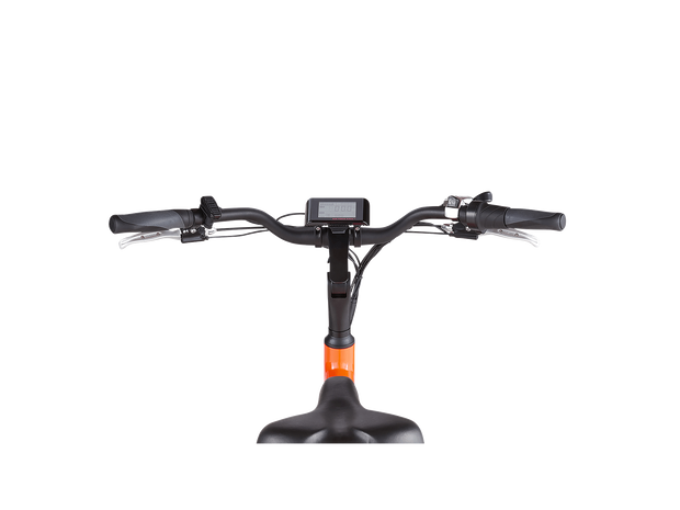 RadWagon™ 4 Electric Cargo Bike