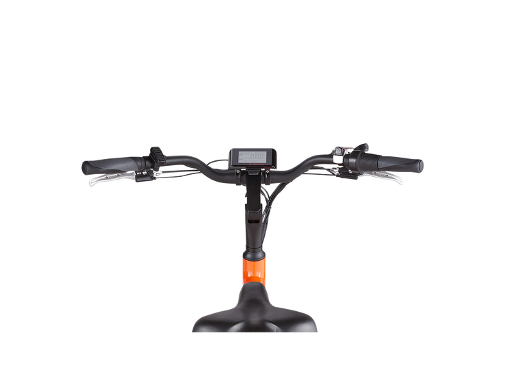 RadWagon™ 4 Electric Cargo Bike