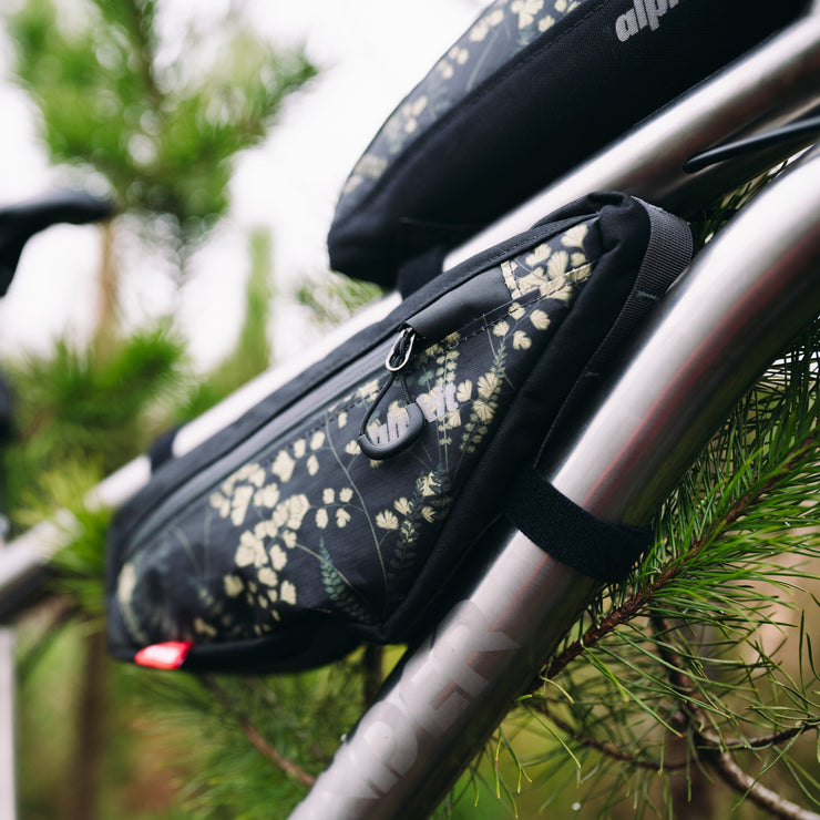 Forester-collection-images