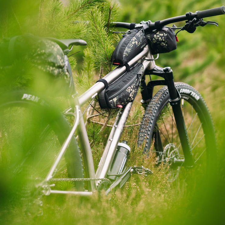 Forester-collection-images