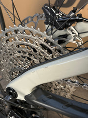 Moterra Neo SL 2 Demo (Small)