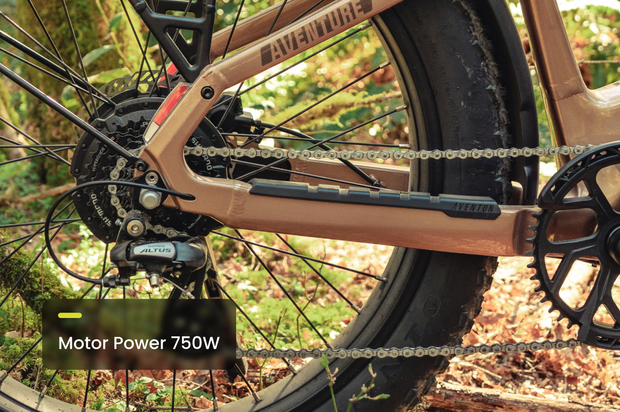 Aventure 3 Step Through Ebike