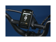 RadExpand™ 5 Plus Electric Folding Bike