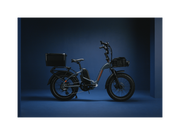RadExpand™ 5 Plus Electric Folding Bike