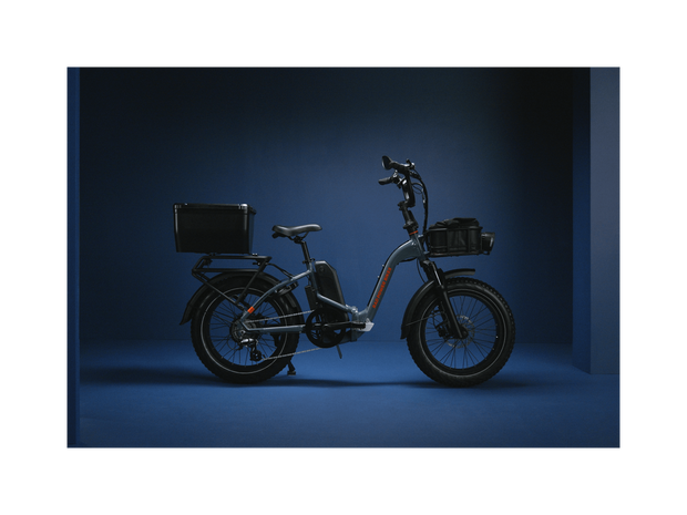 RadExpand™ 5 Plus Electric Folding Bike