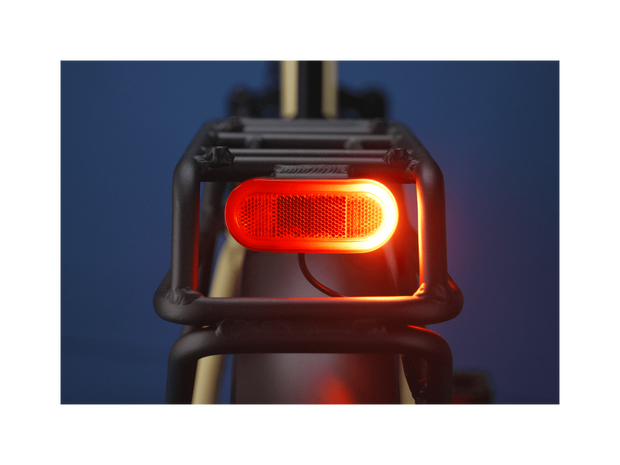 RadExpand™ 5 Plus Electric Folding Bike