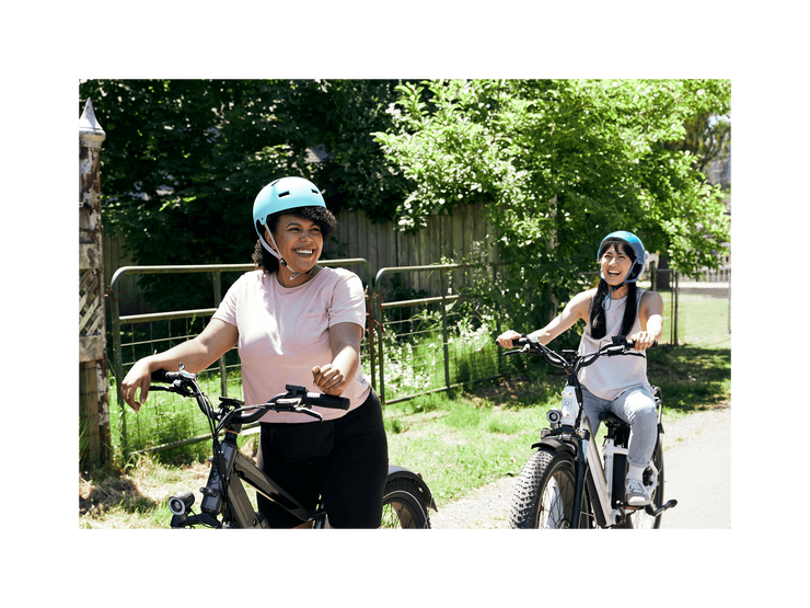 RadRover™ 6 Plus Electric Fat Tire Bike